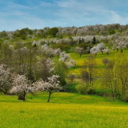 Daire Milla Weissach im Tal